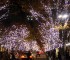 The Holiday Season in Japan is one of Lovely Light! Illumination all over and for All