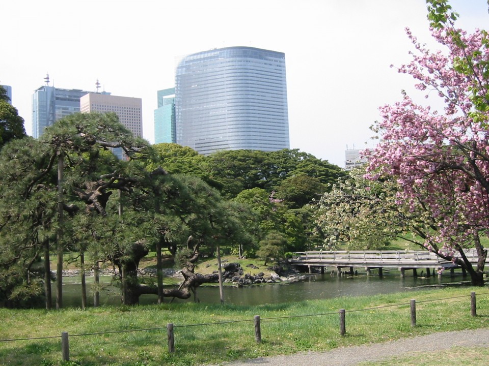 View of the Shiodome skyscrapers from the park