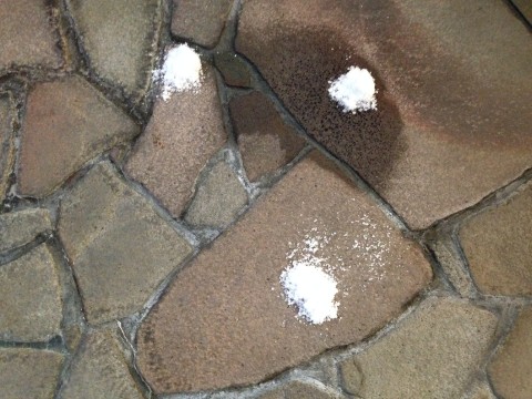 Salt is Sacred in Japan; You will see it often images