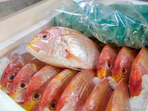 Japanese Fish Markets images