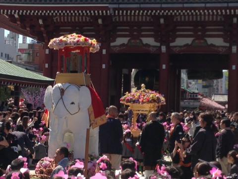 April 8 Flower Festival Celebrating Buddha's Birthday images