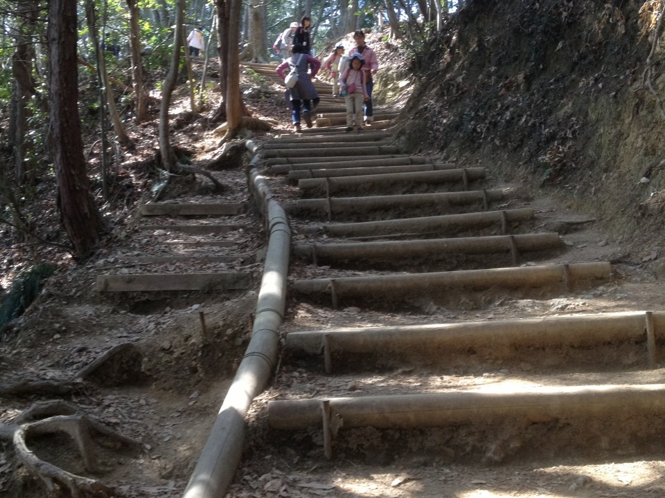 Step Up! Inariyama Trail