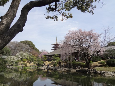 Senso-ji Temple's Secret Japanese Garden in Asakusa images