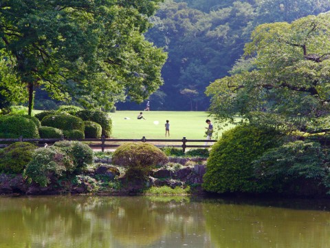 Shinjuku Gyoen a great place to relax images
