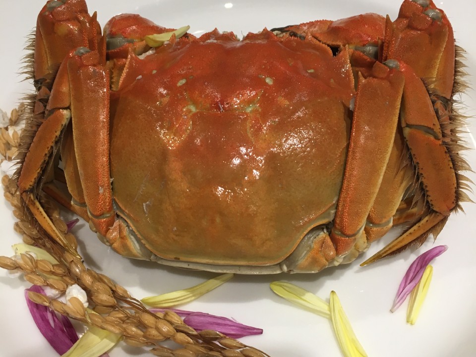 Shanghai Crab