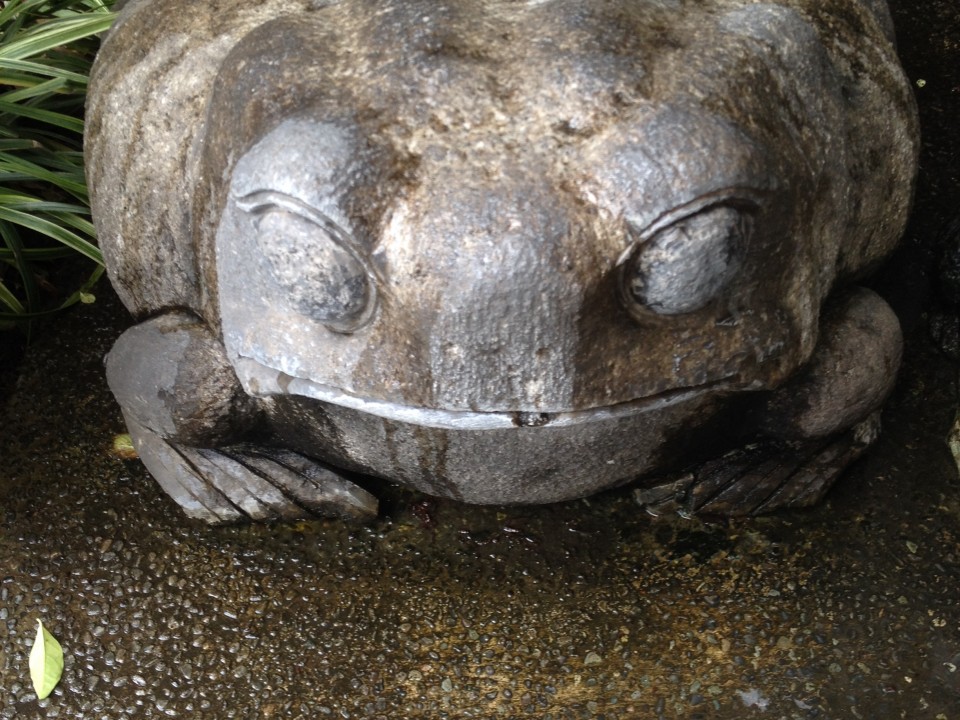 The Giant Frog