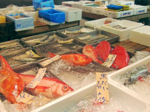 Fish market for lazy birds - part1 images