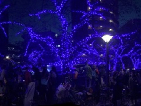 Blue Cave Nakameguro the newest spot for winter Illuminations images