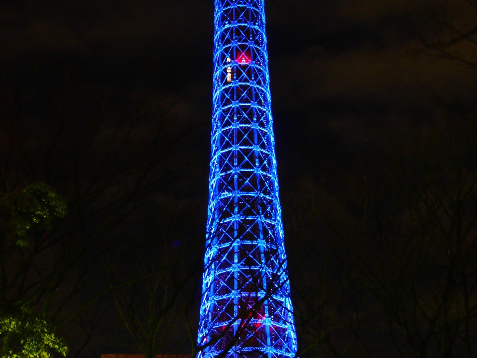 Yokohama Marine Tower (Night)