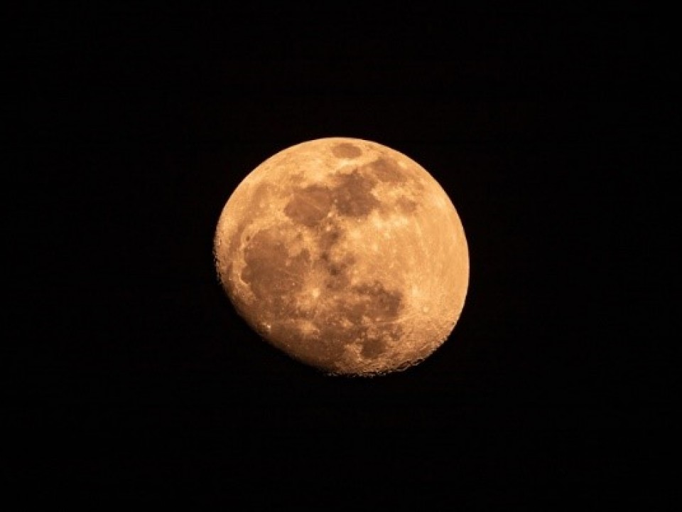 moon watching
