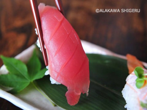 Most popular sushi fish is tuna! images