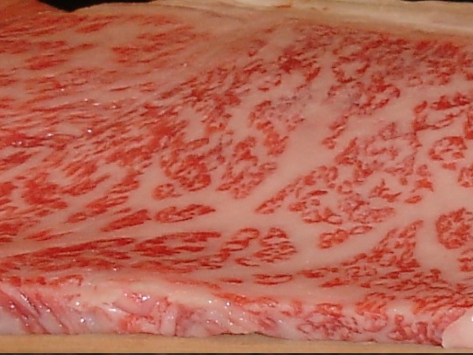 a sample of marbled beef