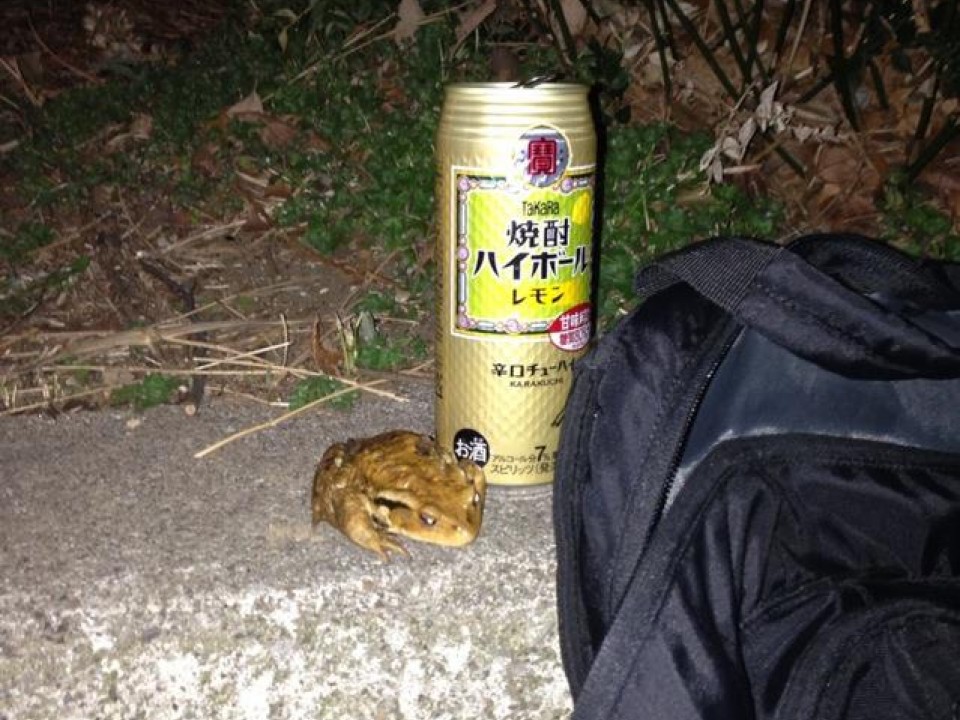 I was joined by a frog while drinking some Takara Chuu hai