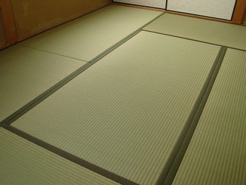 Tatami in the summer time images